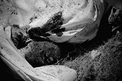 zoriah_iraq_war_suicide_bomb_attack_assassination_man_boy.jpg
